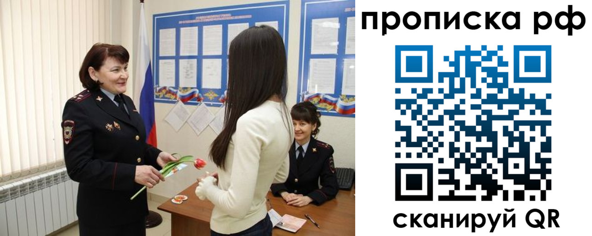 прописка поиск в Боровичах